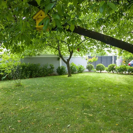 Garden *